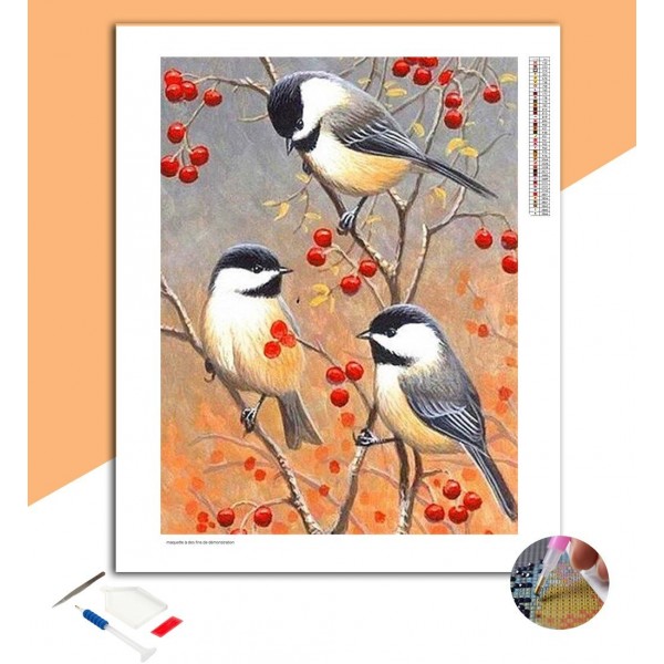 Broderie Diamant Mésanges noires