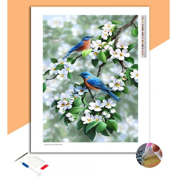 Broderie Diamant Rougequeues à front bleu