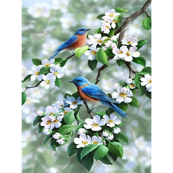 Broderie Diamant Rougequeues à front bleu