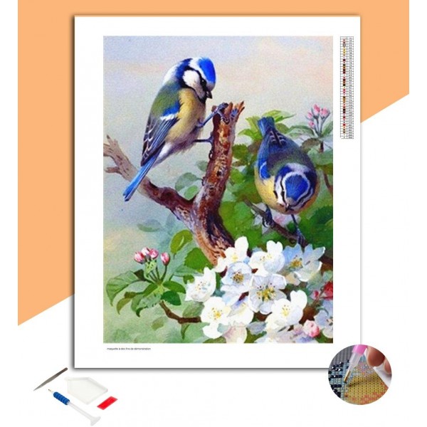 Broderie Diamant Mésanges bleues