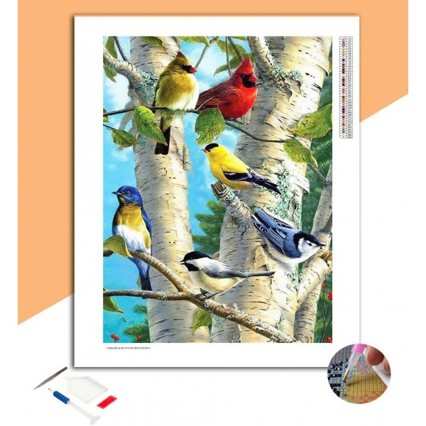 Broderie Diamant Variétés d'oiseaux