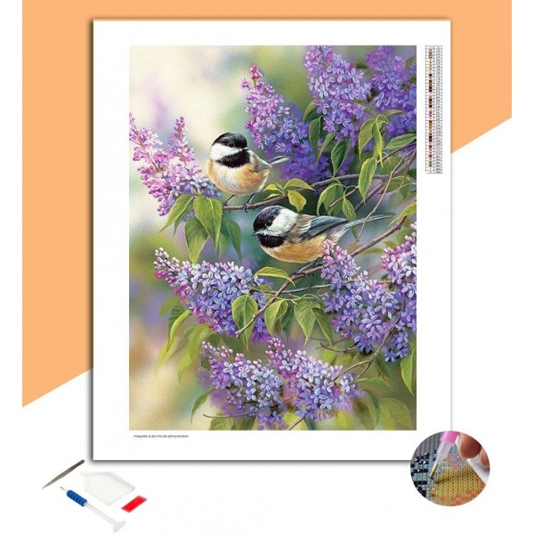 Broderie Diamant Mésanges nonnette