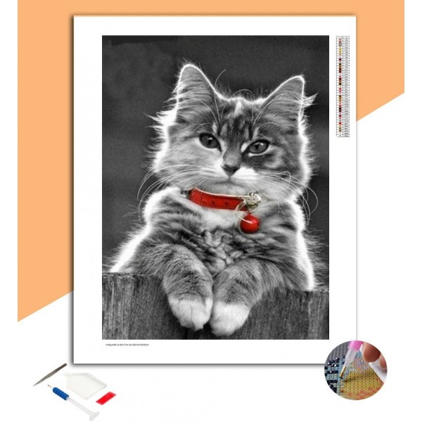 Broderie Diamant Chat Sibérien