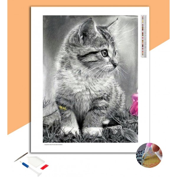 Broderie Diamant Noire et Blanche Chat