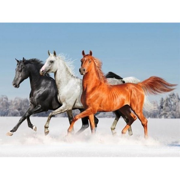 Broderie Diamant Chevaux dans la neige