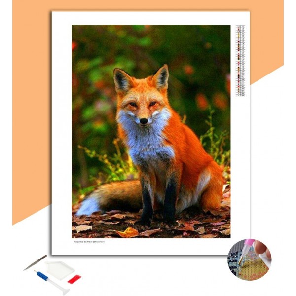 Broderie Diamant Renarde & Nature