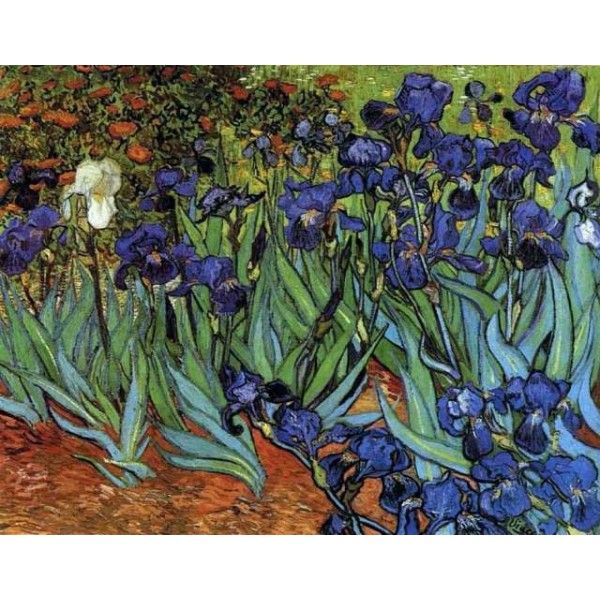 Broderie Diamant Van Gogh Iris 1889