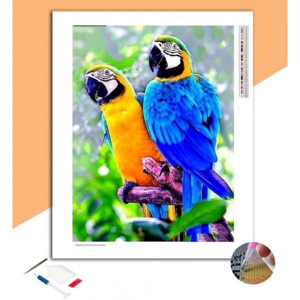 Broderie Diamant Amitié de Perroquets
