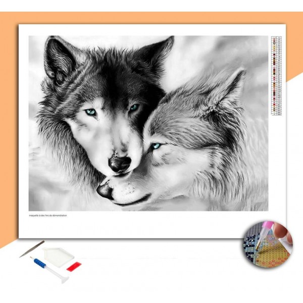 Broderie Diamant Loups Noir & Blanc