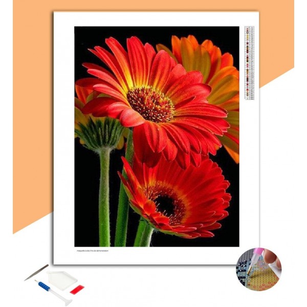 Broderie Diamant Gerberas Rouges