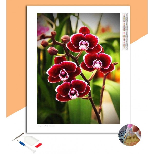 Broderie Diamant Orchidées Rouges