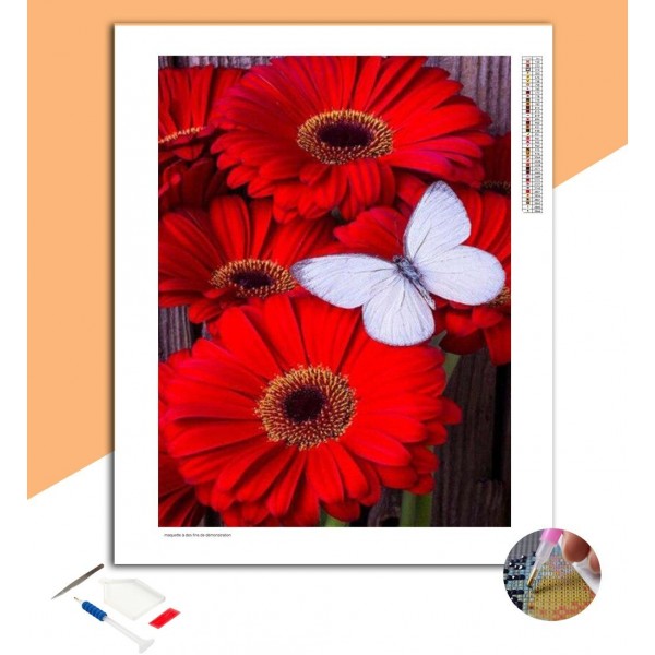 Broderie Diamant Gerberas & Papillon Blanc