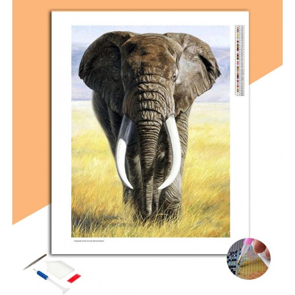Broderie Diamant Éléphant dans la nature