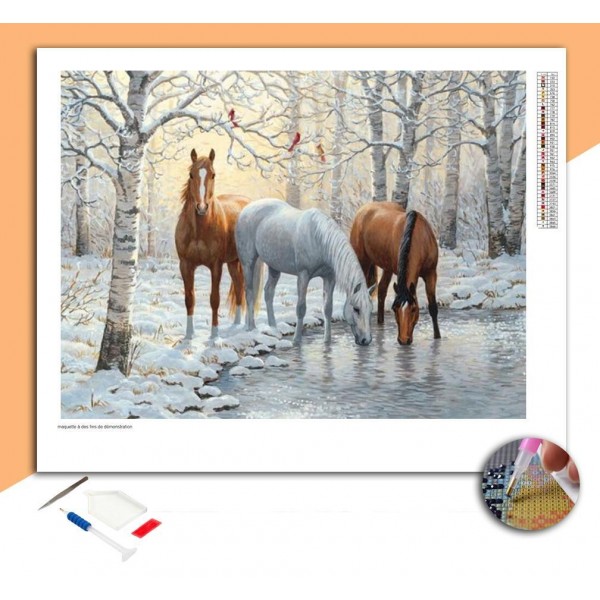 Broderie Diamant Chevaux & Rivière