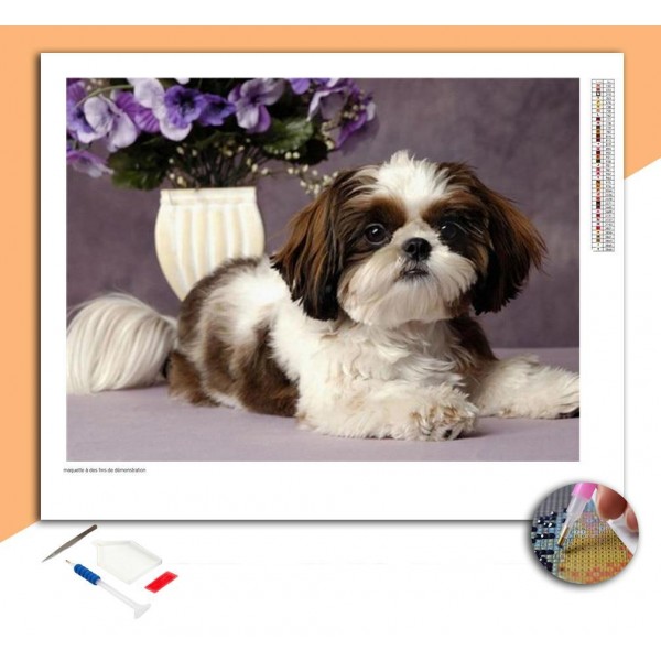 Broderie Diamant Shih Tzu Blanc & Marron