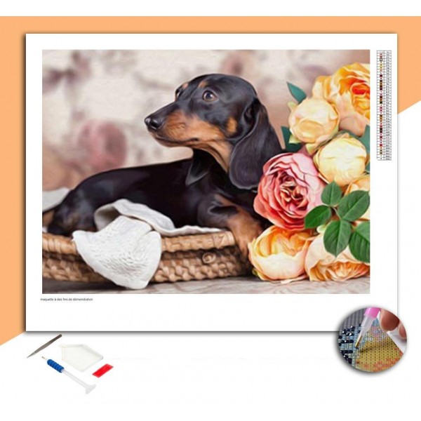 Broderie Diamant Teckel Noir & Marron