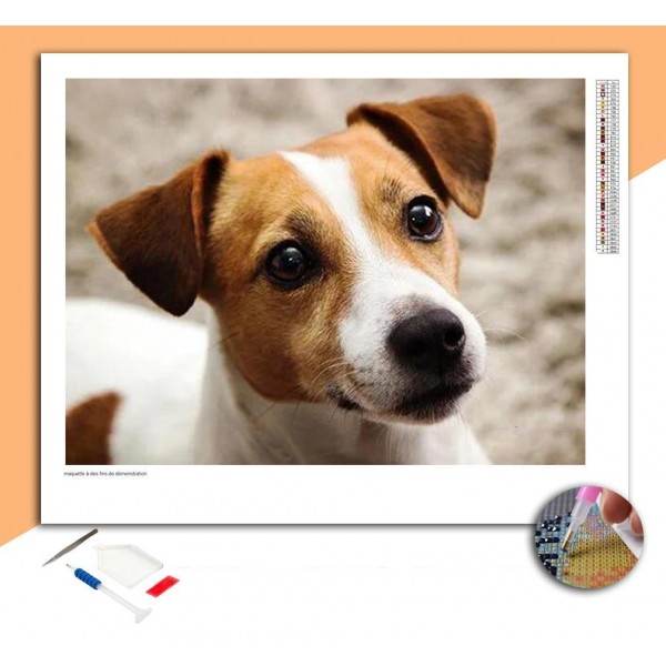Broderie Diamant Jack Russel Blanc & Marron