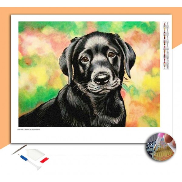 Broderie Diamant Chien Mignon