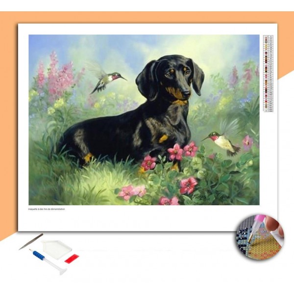 Broderie Diamant Chien Noir & Colibri
