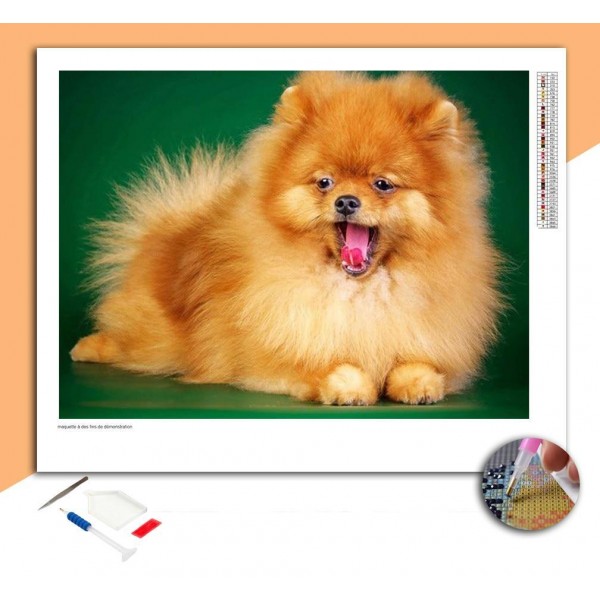 Broderie Diamant Chien Spitz Très Poilu