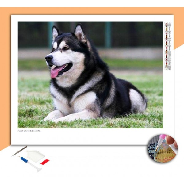 Broderie Diamant Husky de Sibérie