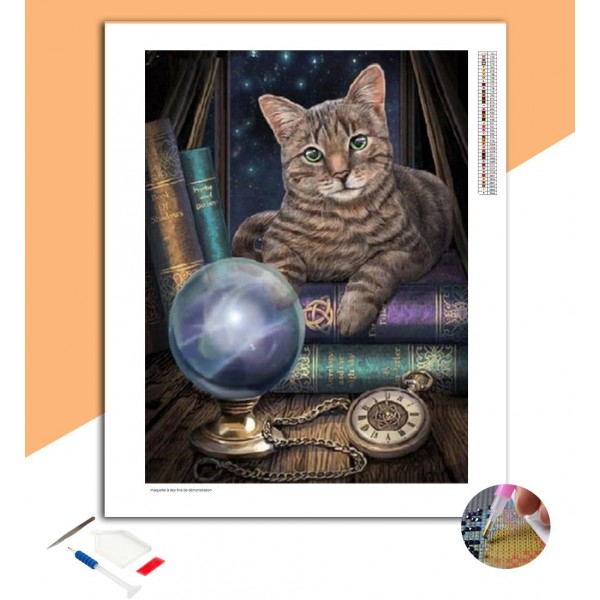 Broderie Diamant Chat & Boule de cristal