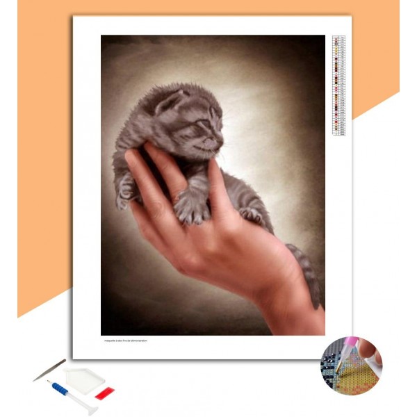 Broderie Diamant Chaton dans une main