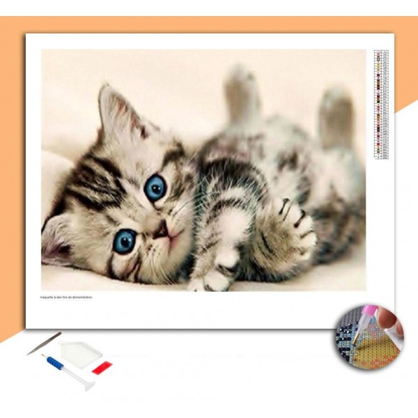 Broderie Diamant Chaton aux yeux bleus