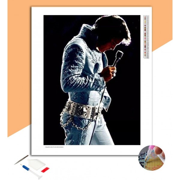 Broderie Diamant Elvis Presley