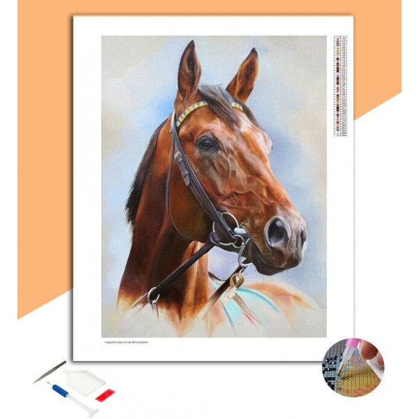 Broderie diamant Cheval Muselé