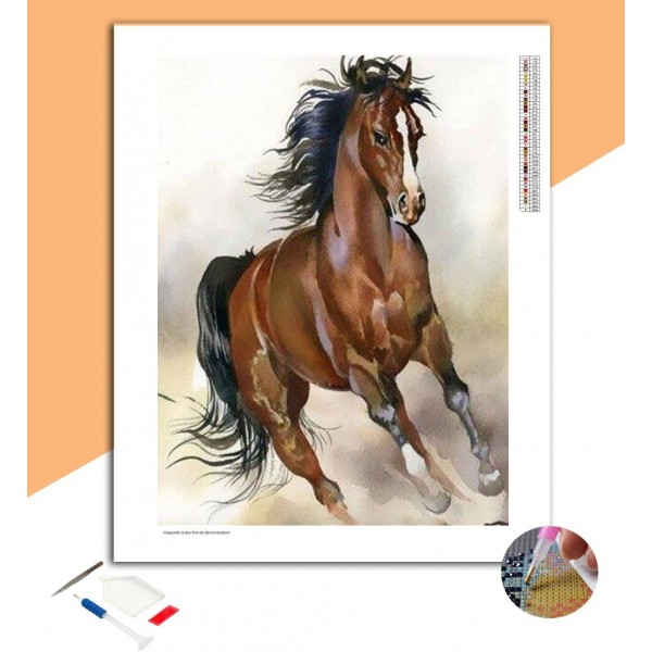 Broderie diamant Cheval Musclé Marron