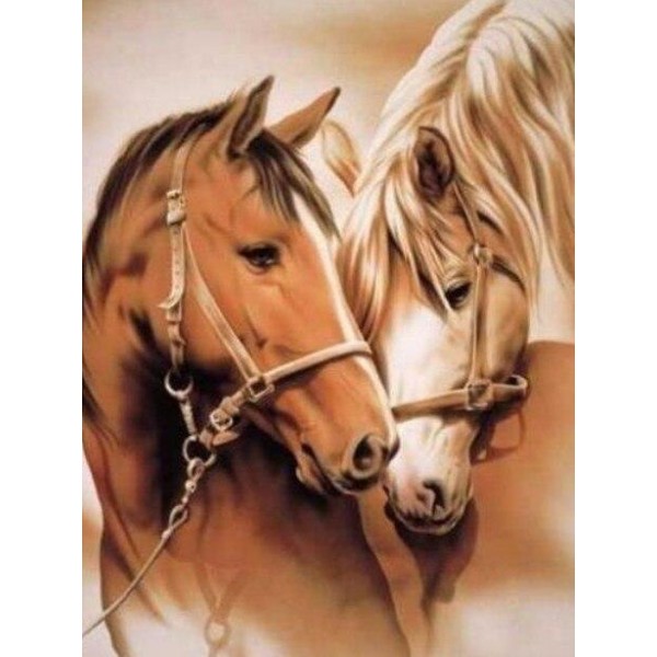 Broderie diamant Cheval & Jument