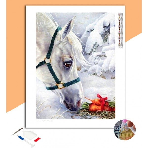 Broderie diamant Cheval & Carotte
