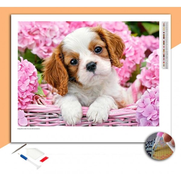 Broderie Diamant Cavalier King Charles Blanc & Marron