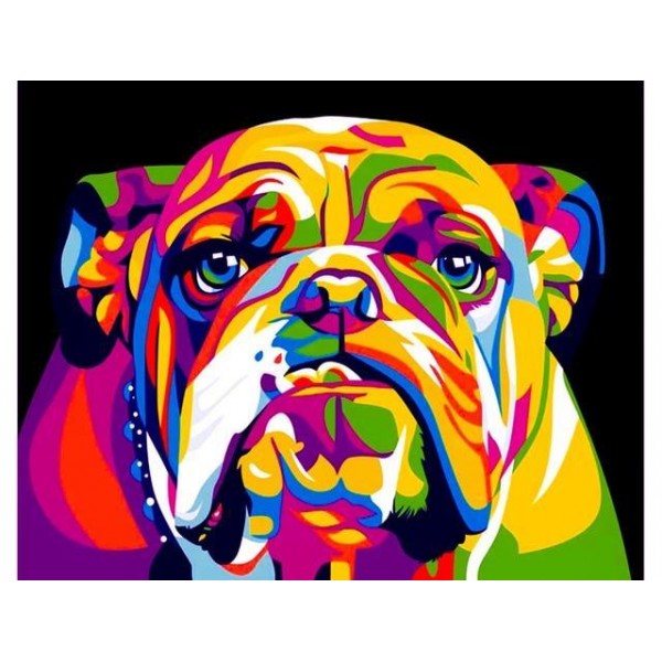 Broderie Diamant Bulldog Multicolore