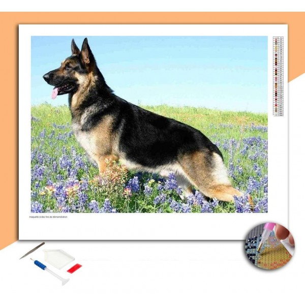 Broderie Diamant Berger Allemand dans la prairie