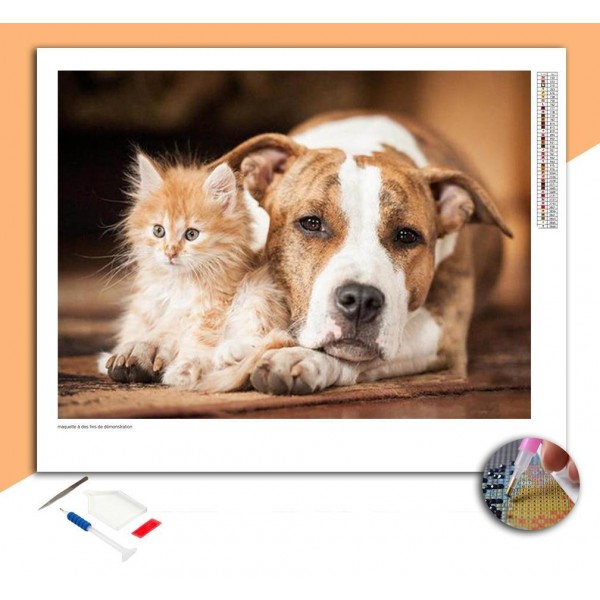 Broderie Diamant American Staff & Petit Chat