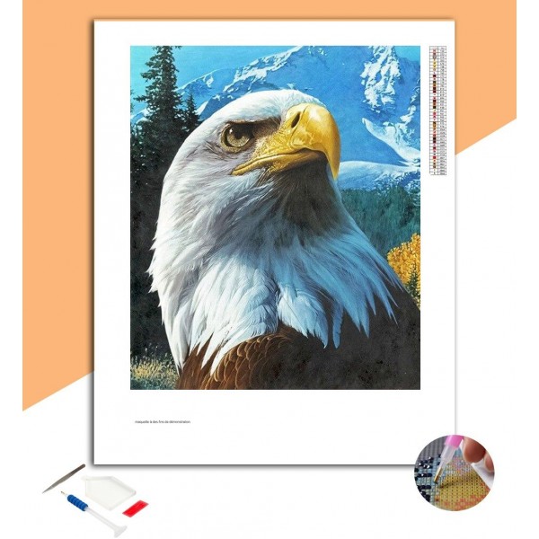 Broderie diamant Aigle à tête blanche